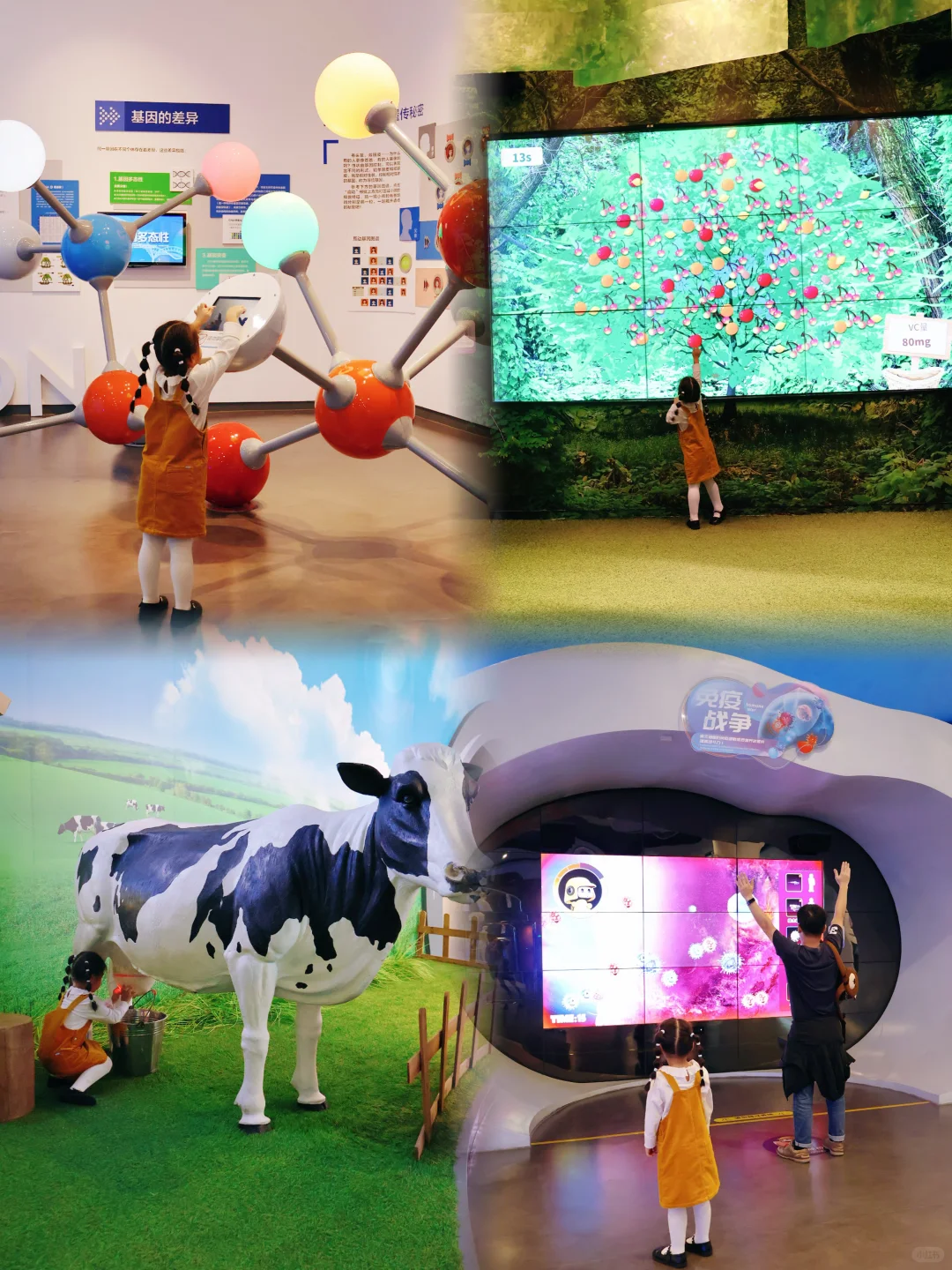 珠海遛娃宝藏地｜营养探索超快乐