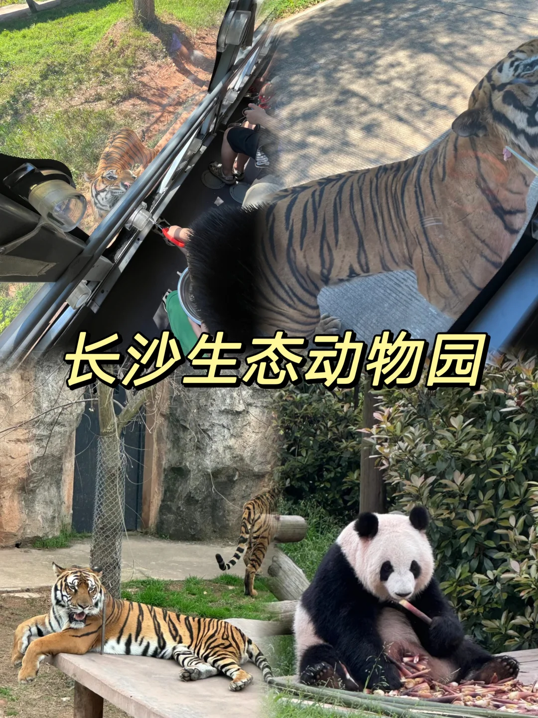 长沙9大宝藏地，会反复溜娃的9个地方✨