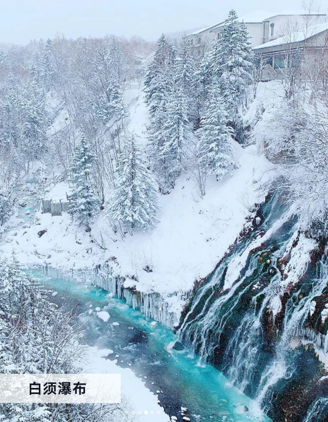 冬日富良野美瑛自由行必看｜景点篇！