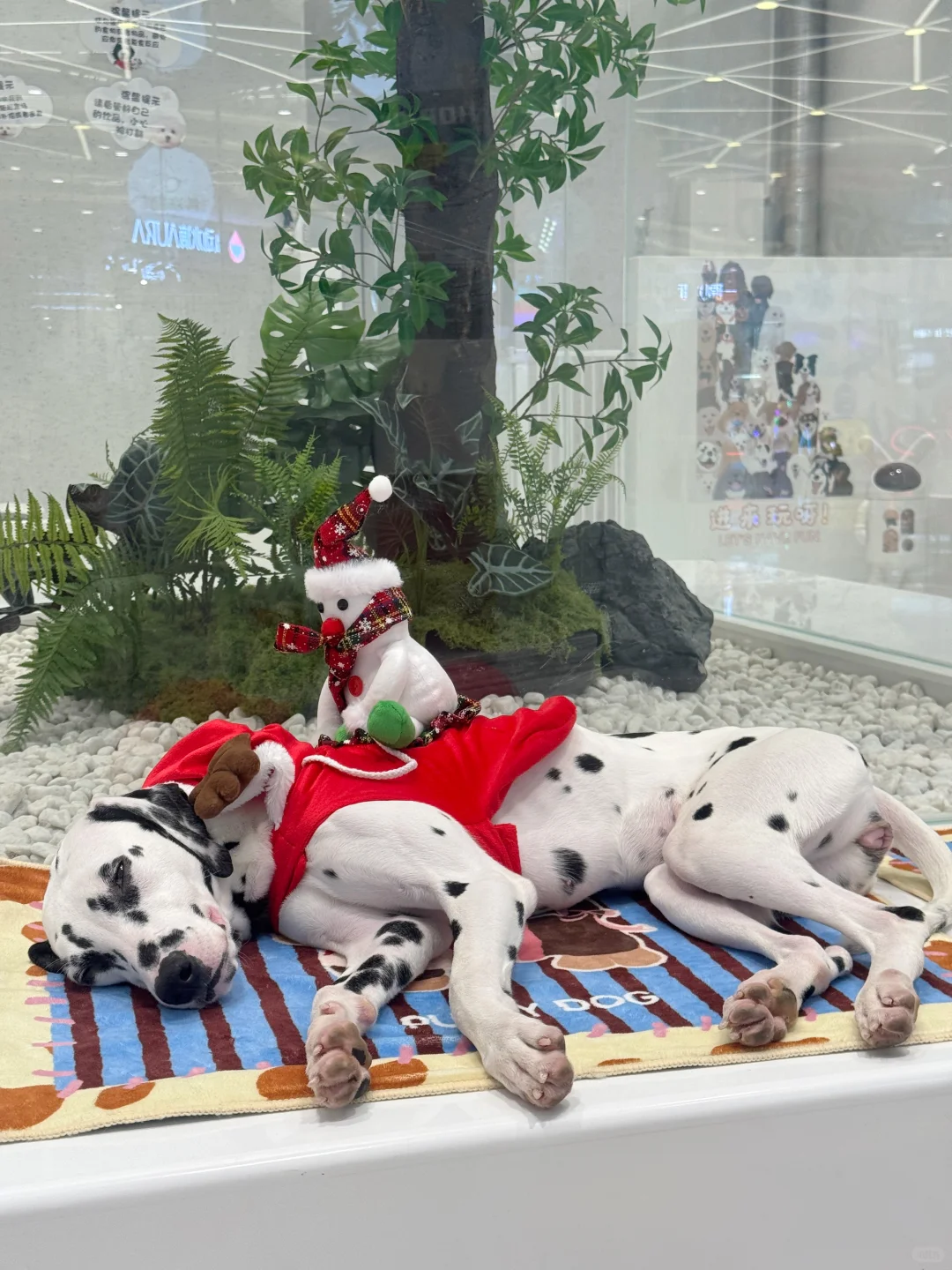 深圳潮玩天花板！15000㎡地心公园嗨玩攻略