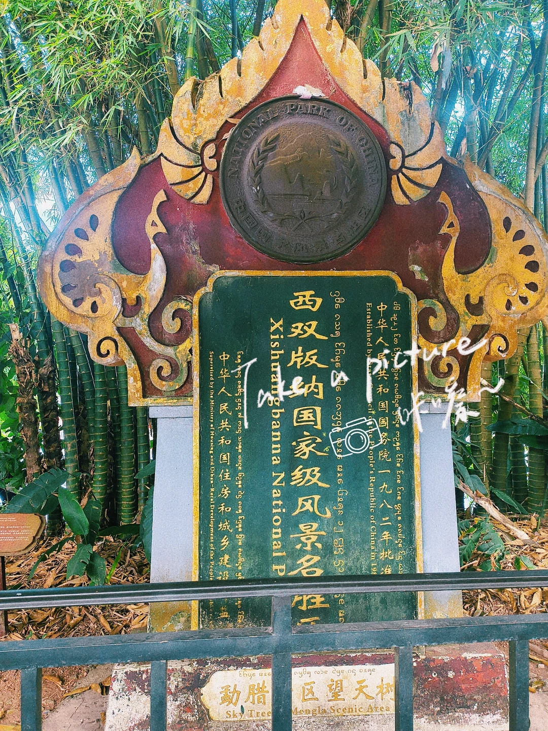 坐高铁去望天树景区