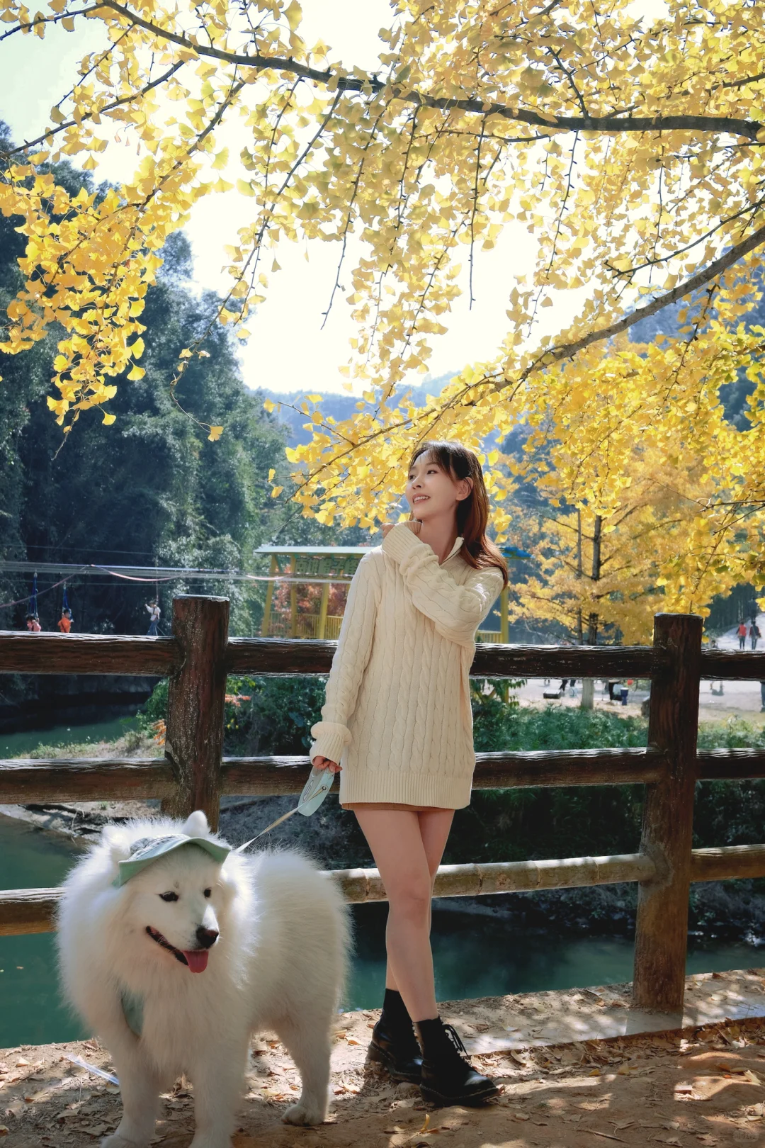 广东带狗游|韶关帽子峰赏银杏叶