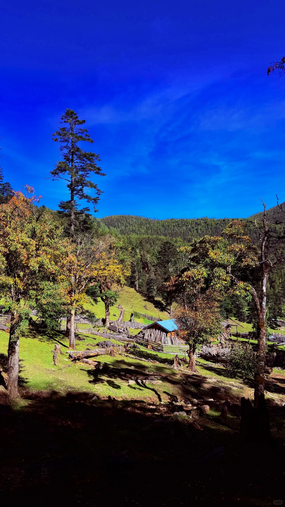 天🦆！！！这是到了天堂吗！！！📍附攻略
