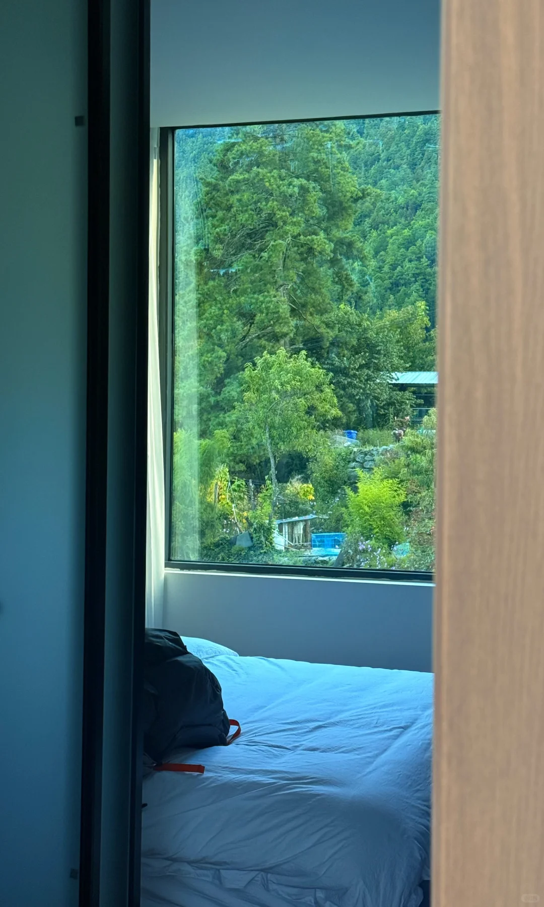 天🦆！！！这是到了天堂吗！！！📍附攻略