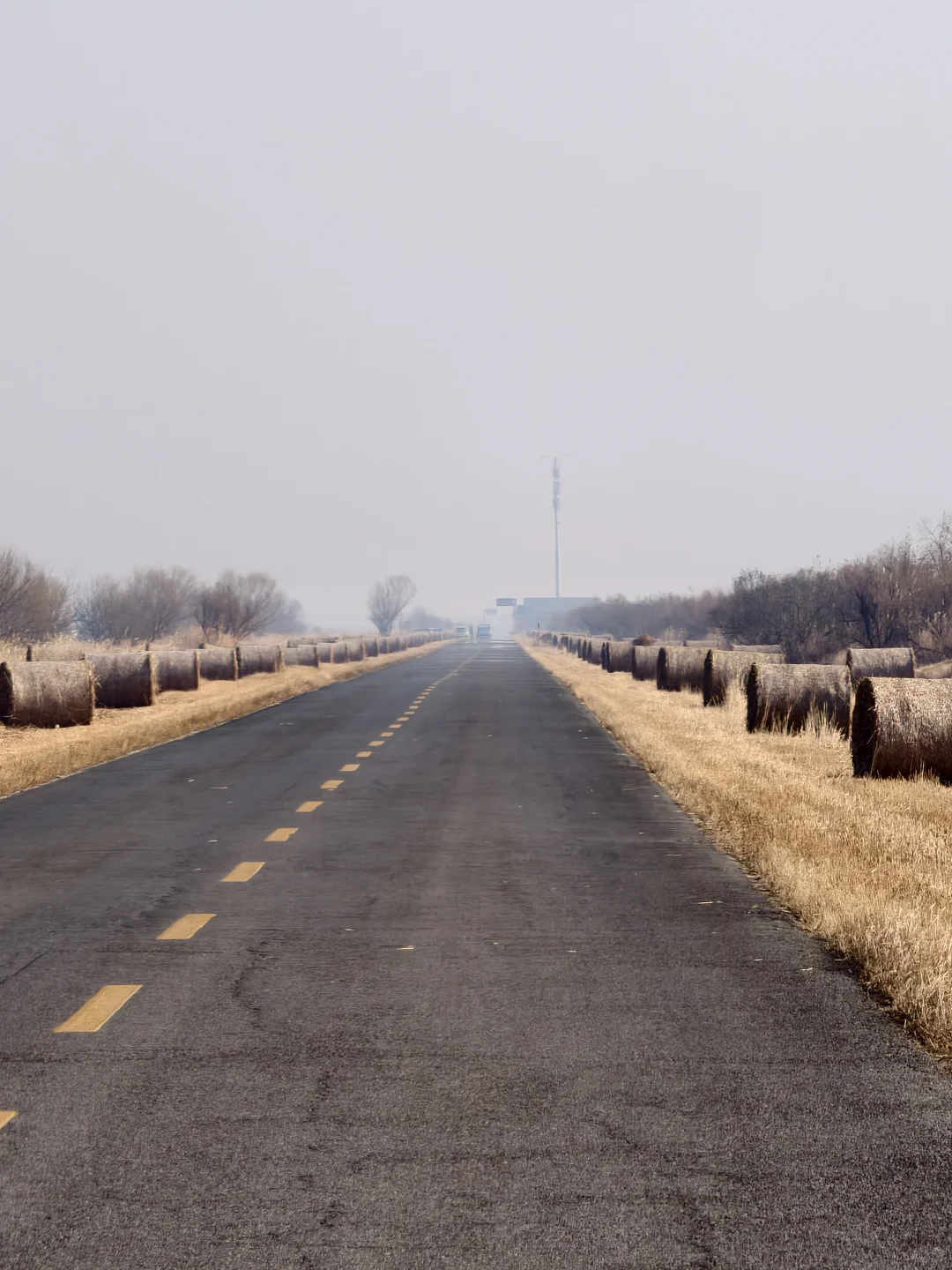 在黄河口景区能玩一整天