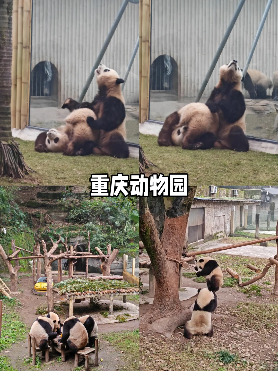 周五出发，周日回，好玩不累的城市