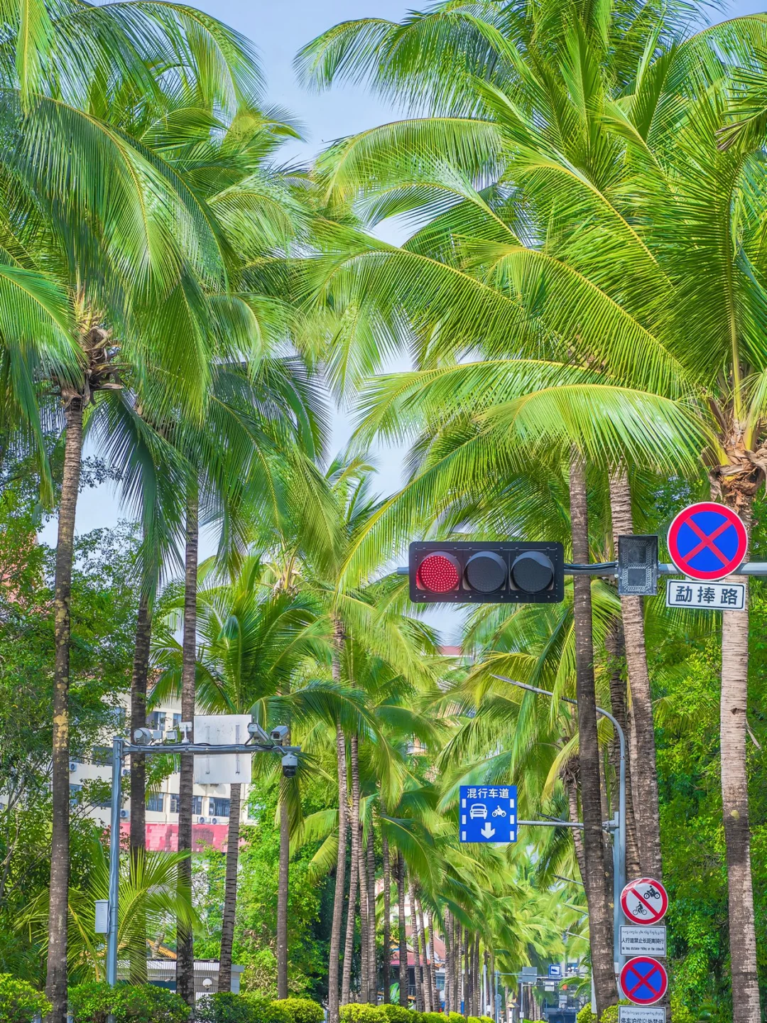 11~12月云南旅游bi备✨纯玩小团指南👭快