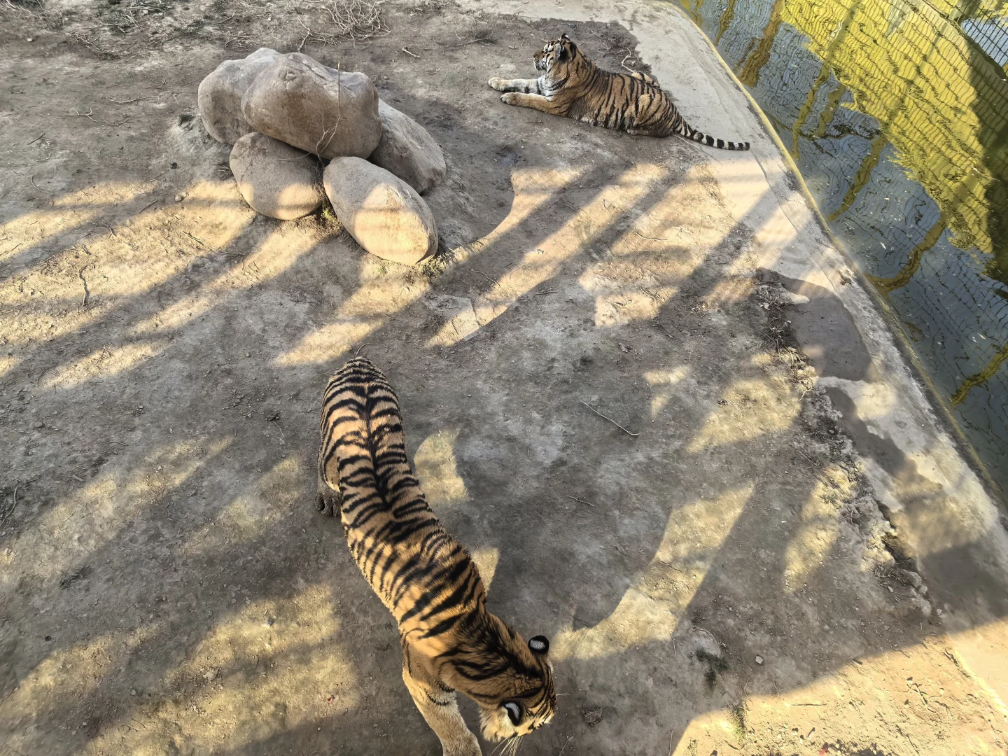 这里真的适合带娃来玩呀！强推