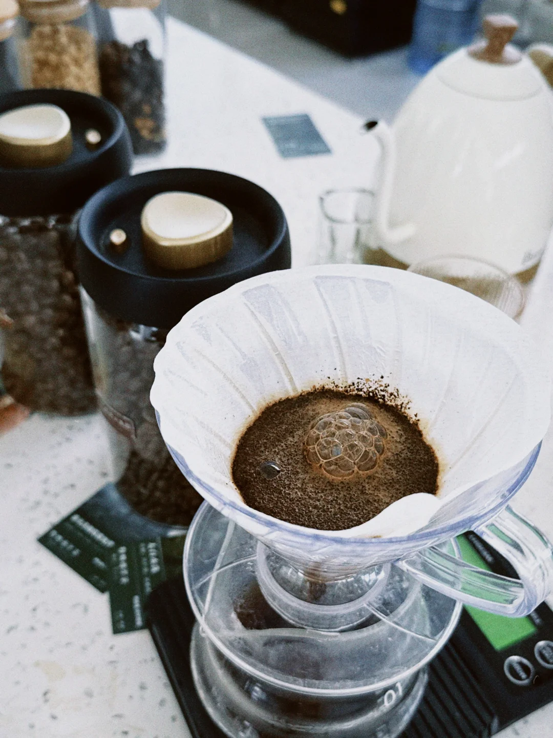 普洱| 咖啡庄园体验和看小熊猫的一天