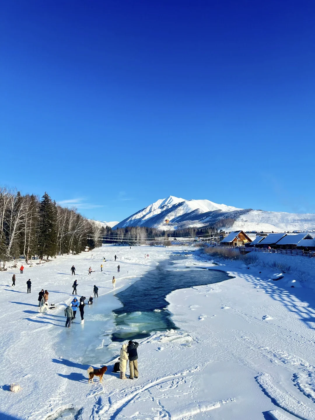 live图实拍｜冬天的北疆才是人间理想❄️