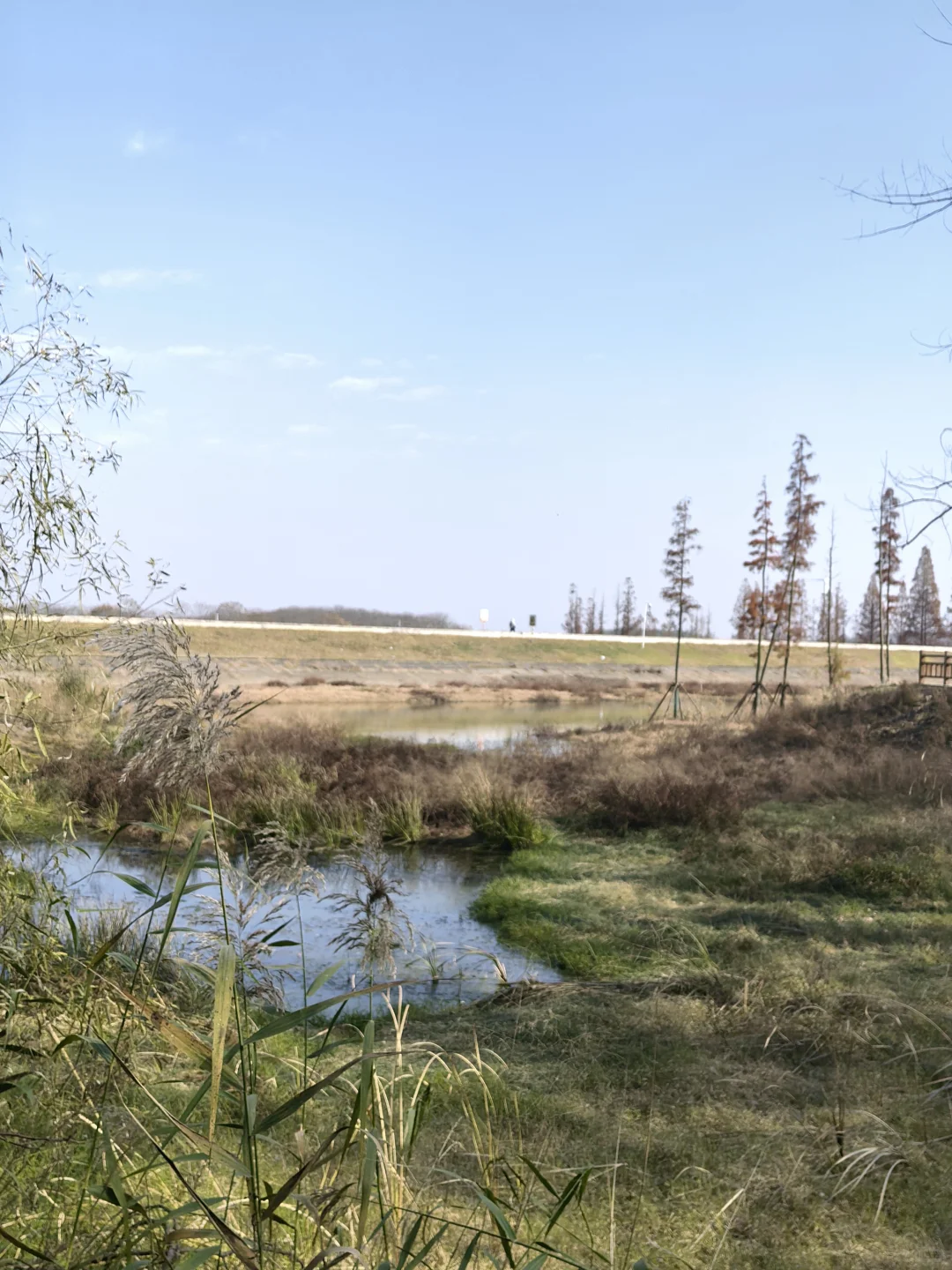 📍深秋止马岭｜南京亲子徒步天花板🍁💕