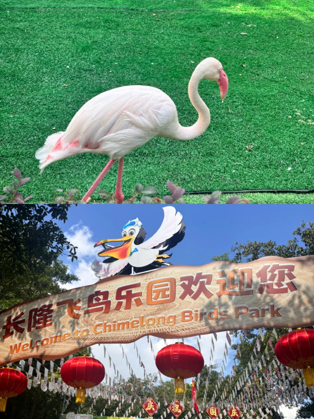 疯了！一票三园‼️ 2天1晚玩遍长隆立省小一千