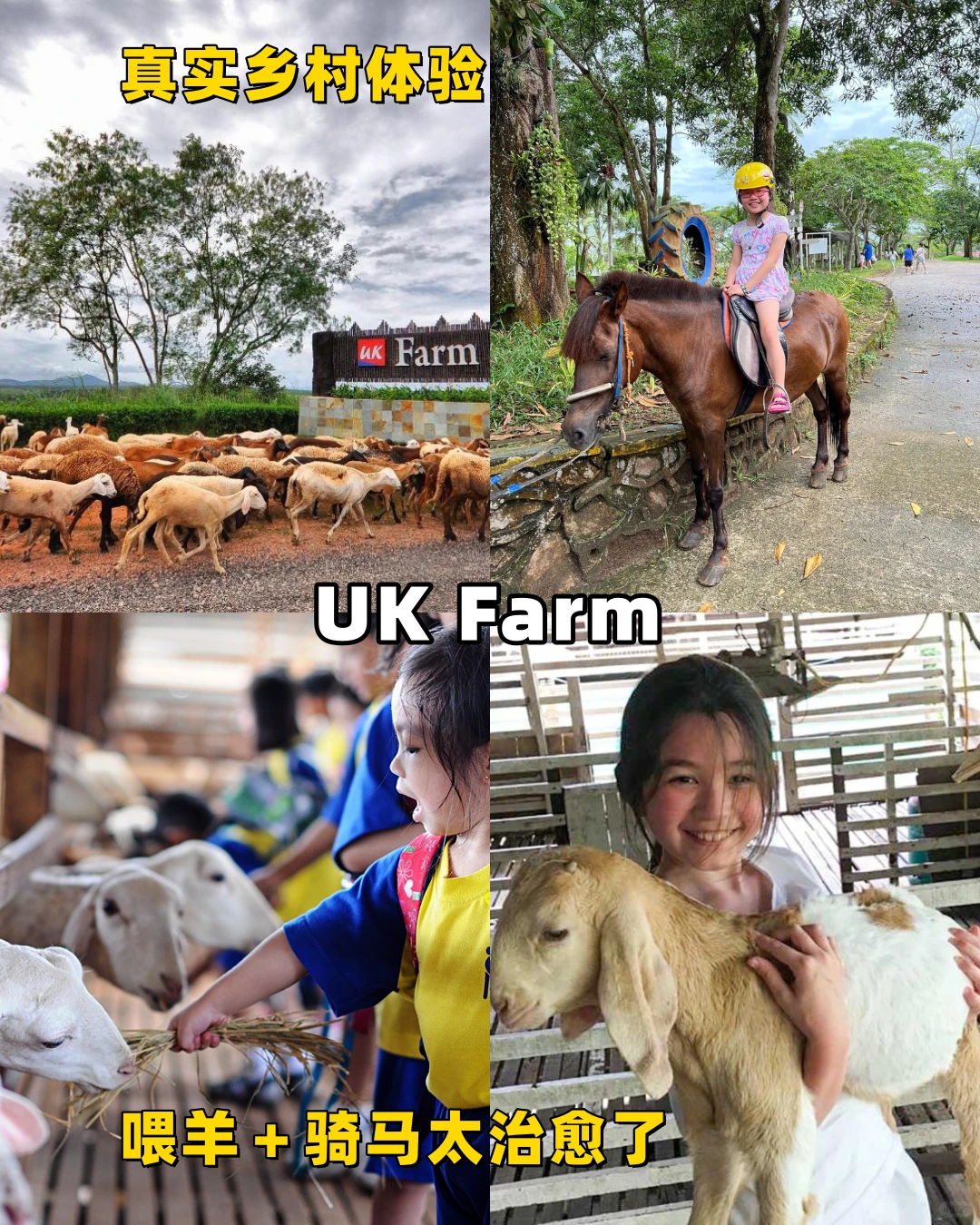 📍柔佛10大必打卡景点！边看边走边拍📸