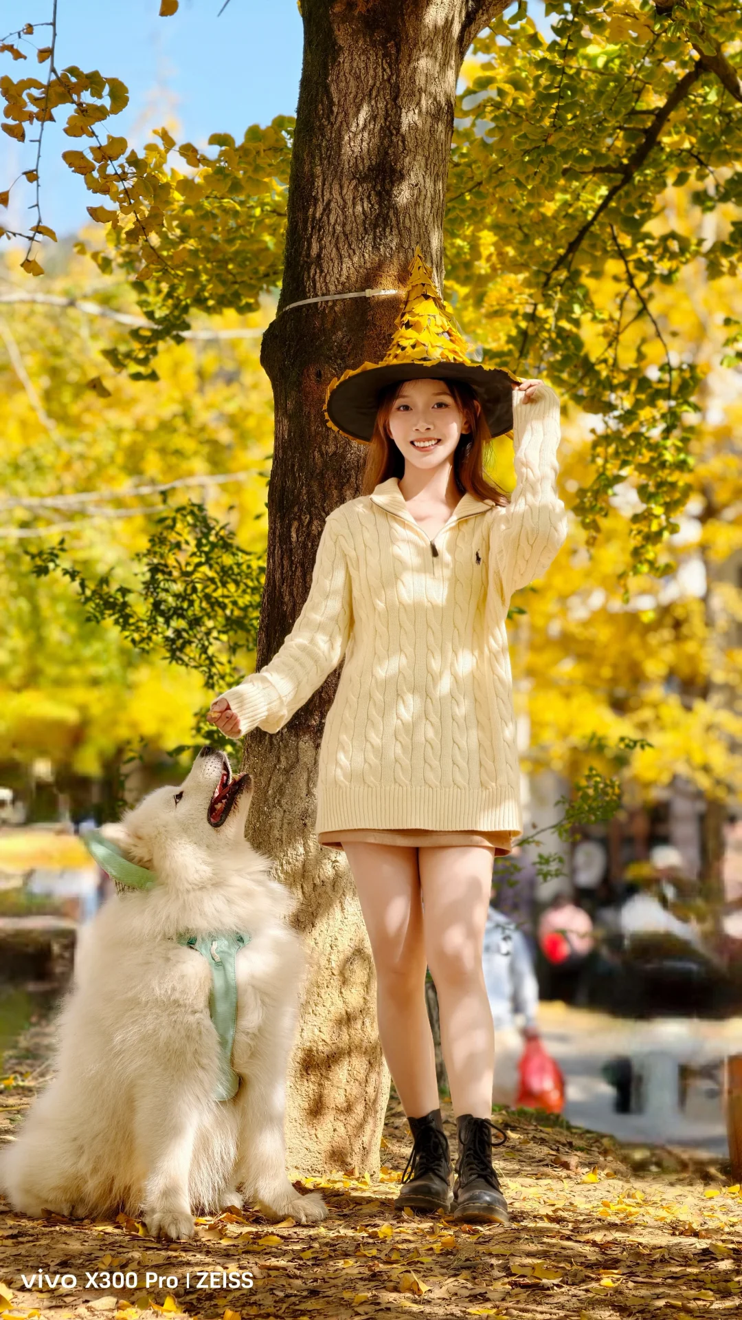 广东带狗游|韶关帽子峰赏银杏叶