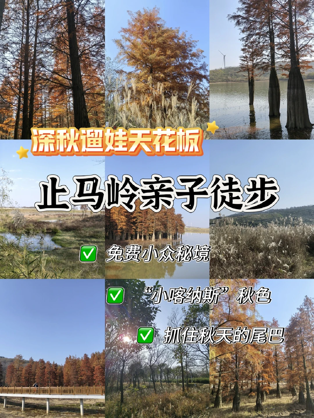 📍深秋止马岭｜南京亲子徒步天花板🍁💕