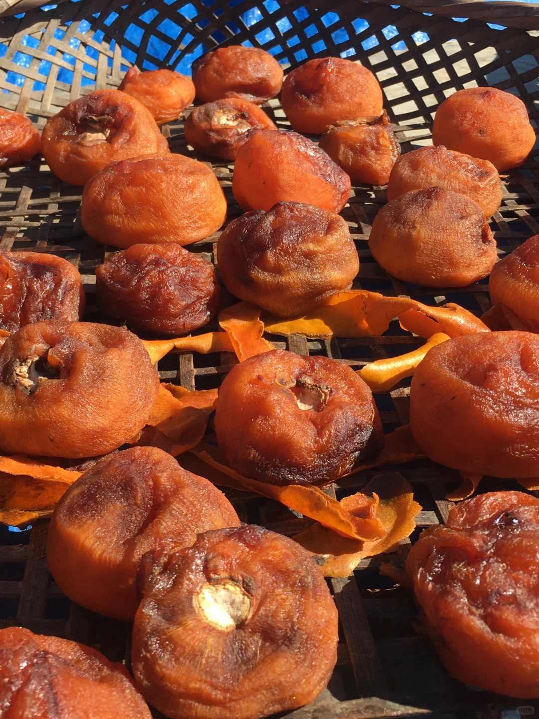 回村的快乐！！！