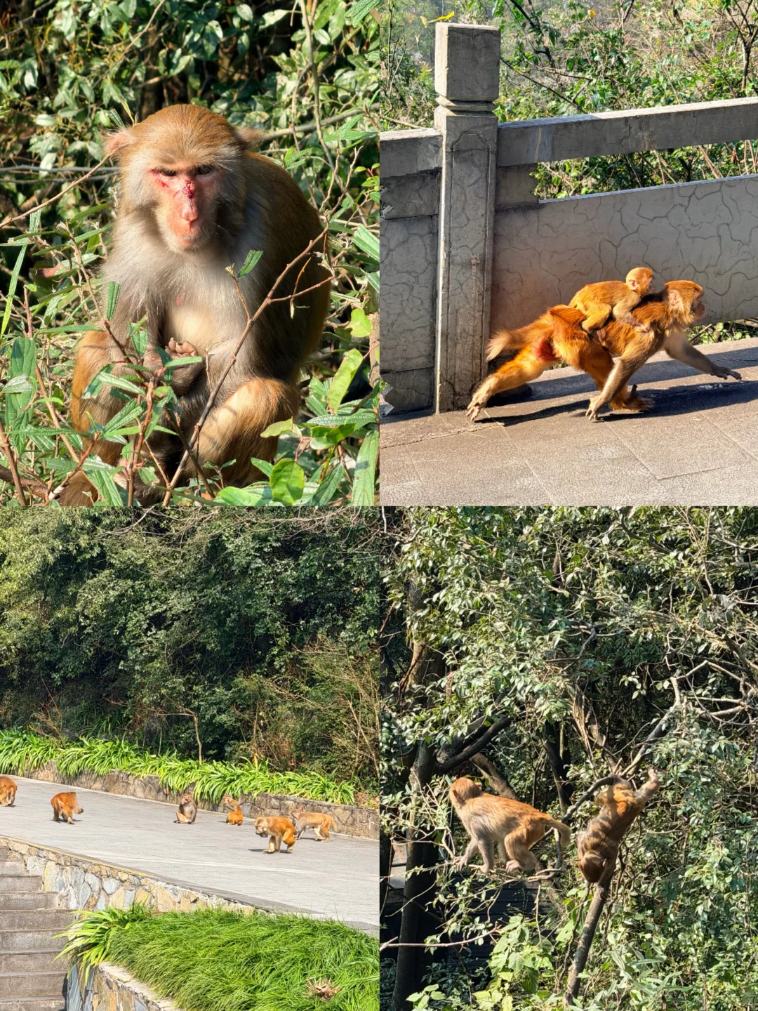 逃离主城‼️涪陵2天1夜小众玩法，人均500玩翻