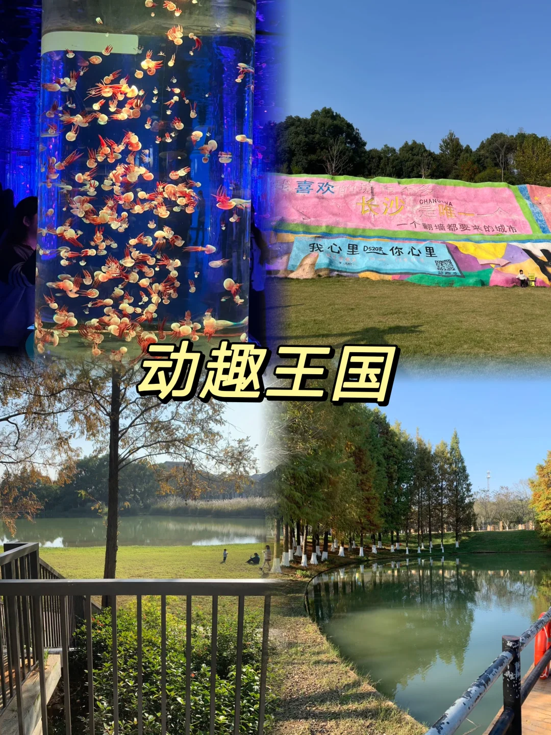 长沙9大宝藏地，会反复溜娃的9个地方✨