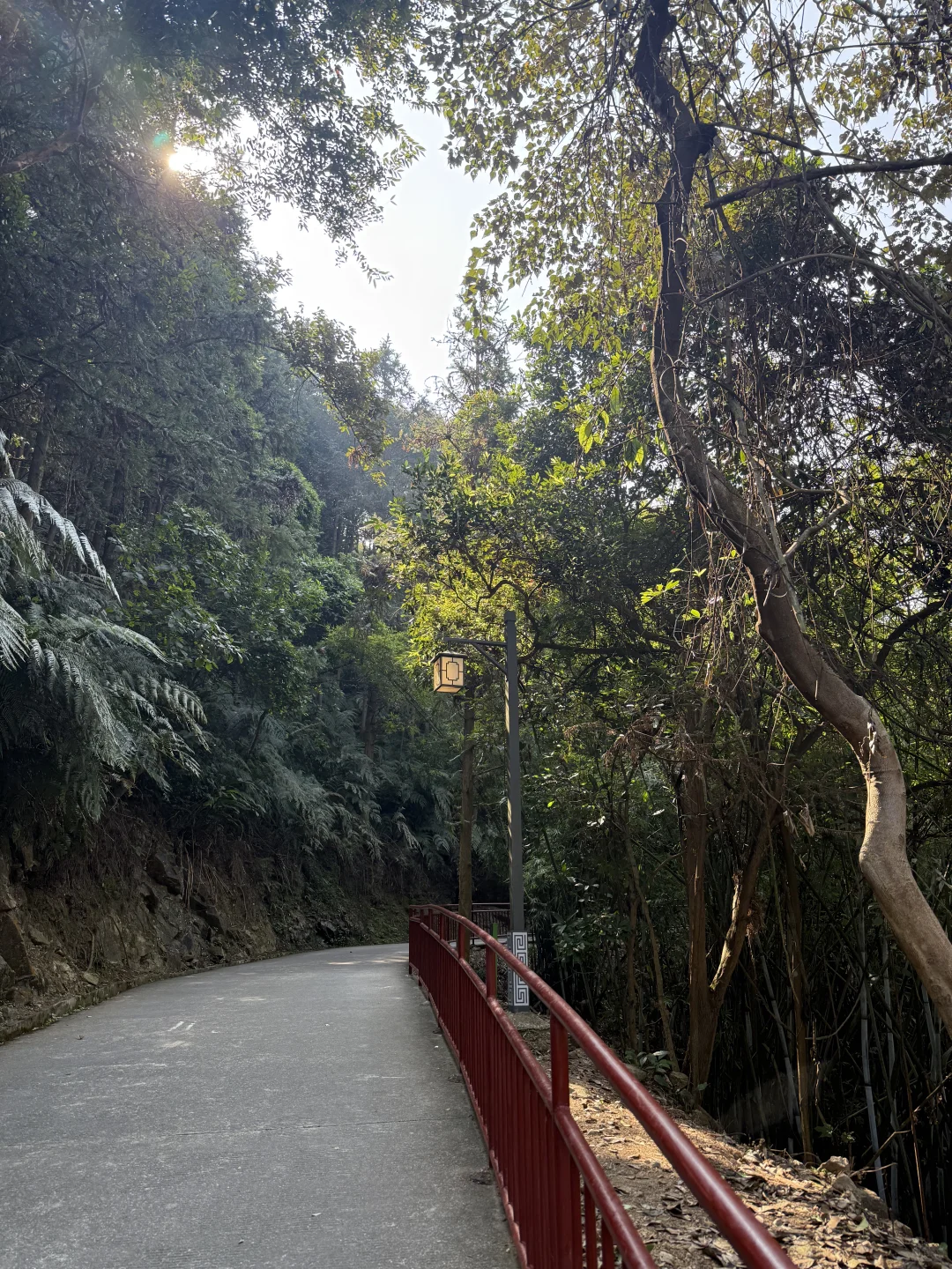 这里真的太适合放空自己了～⛰️