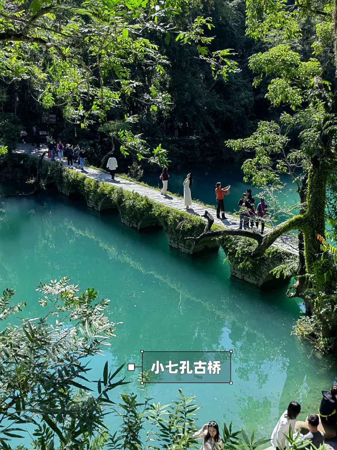 多彩贵州|水墨画般的荔波大小七孔