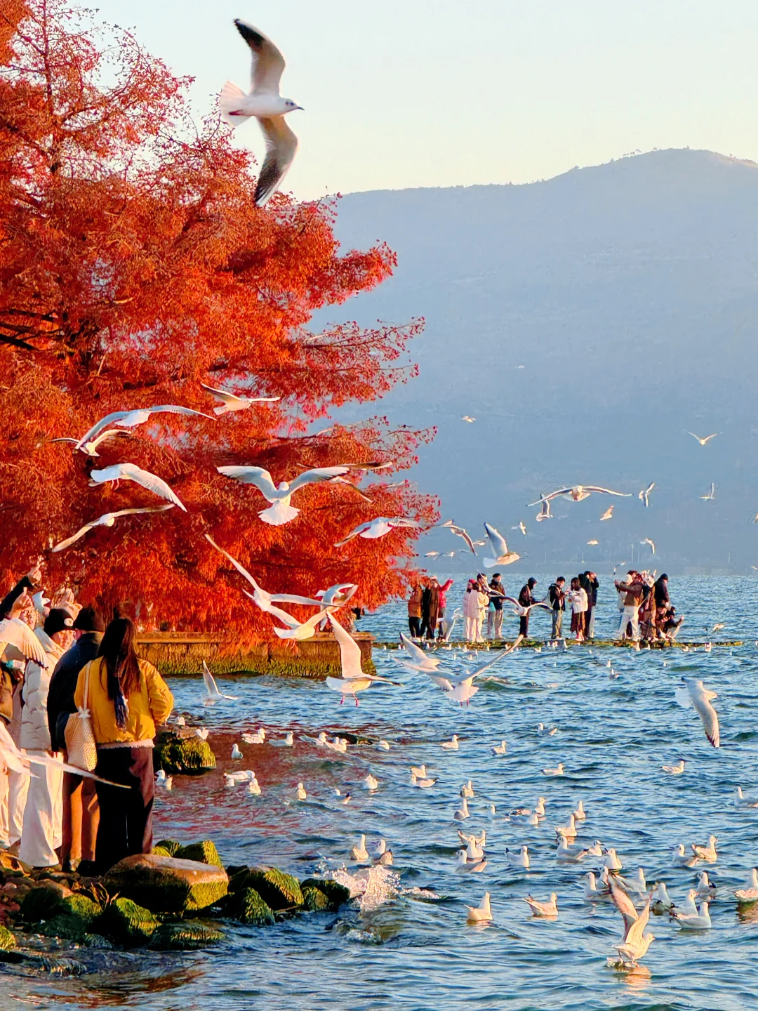 听xhs劝了 和朋友去云南报了个纯玩团后续…