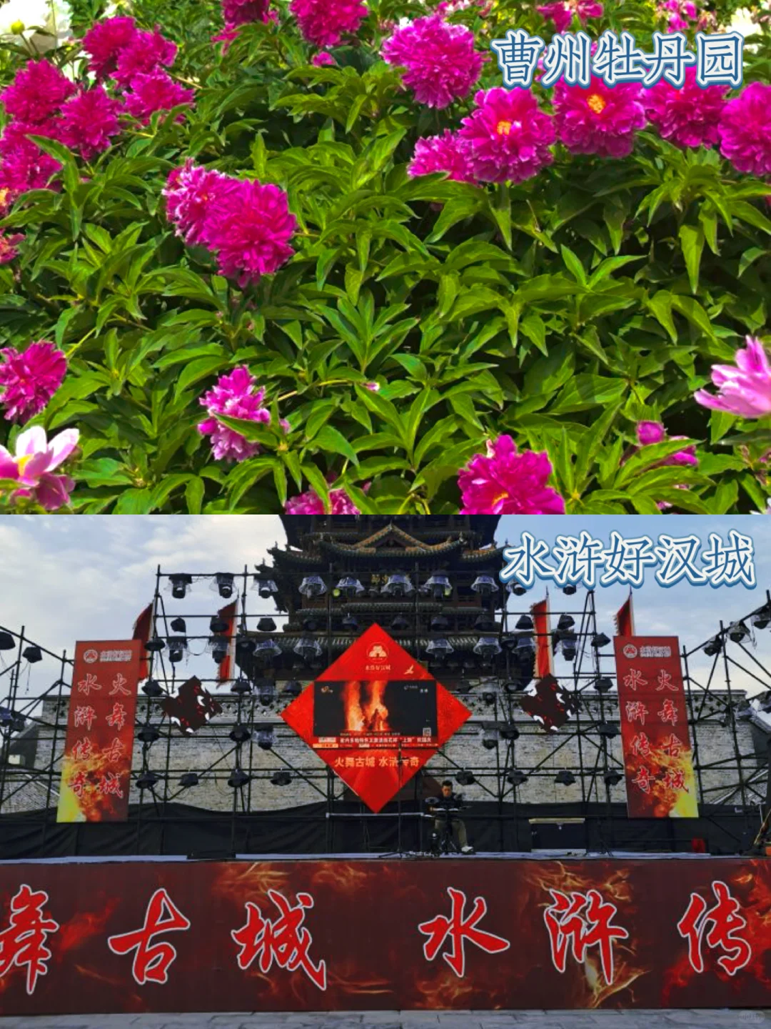 菏泽反向旅游💯避开人挤人！这16个地方码住