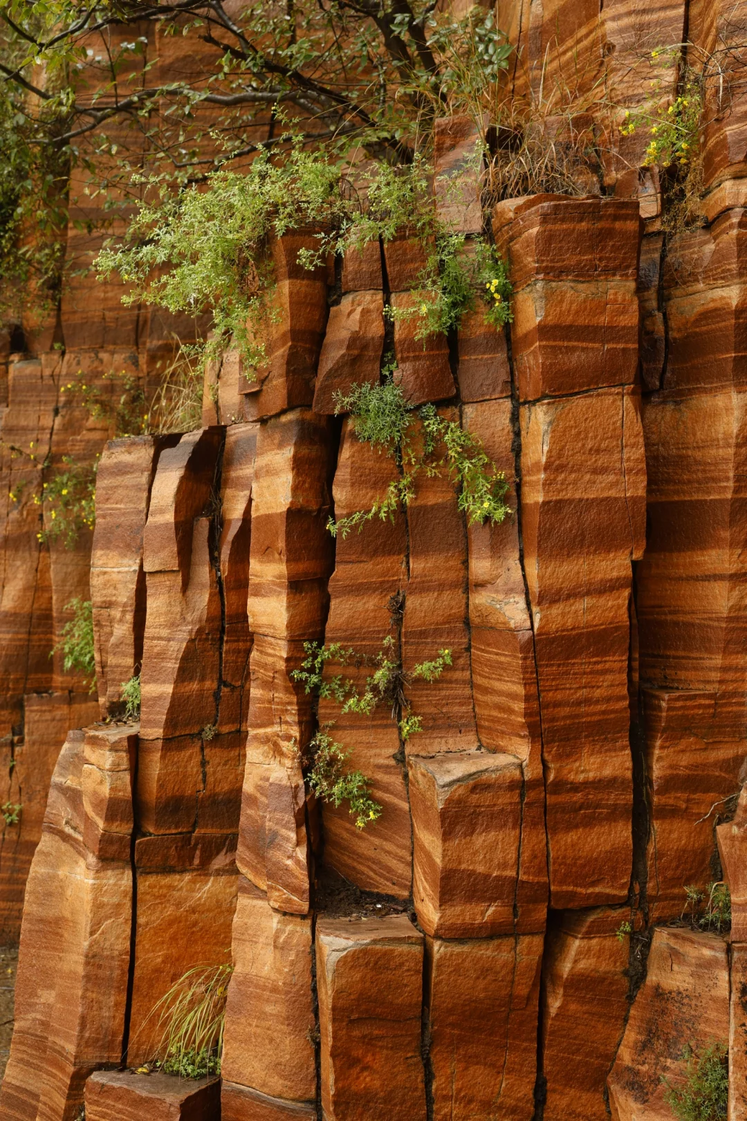 不来一次你都不知道邯郸有这么美的太行