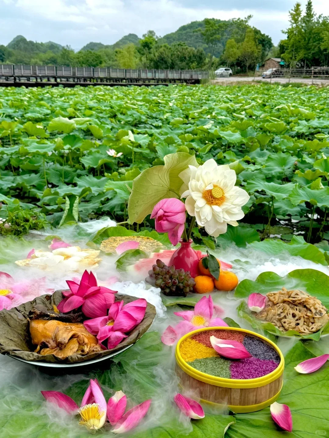 普者黑 | 中国最后的世外桃源🌿