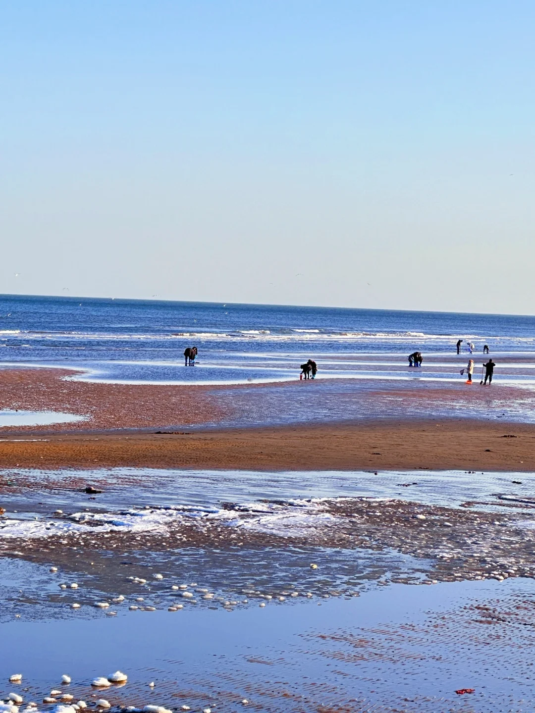 秦皇岛冻海美到失语❄️下月一起看冰河世纪‼️