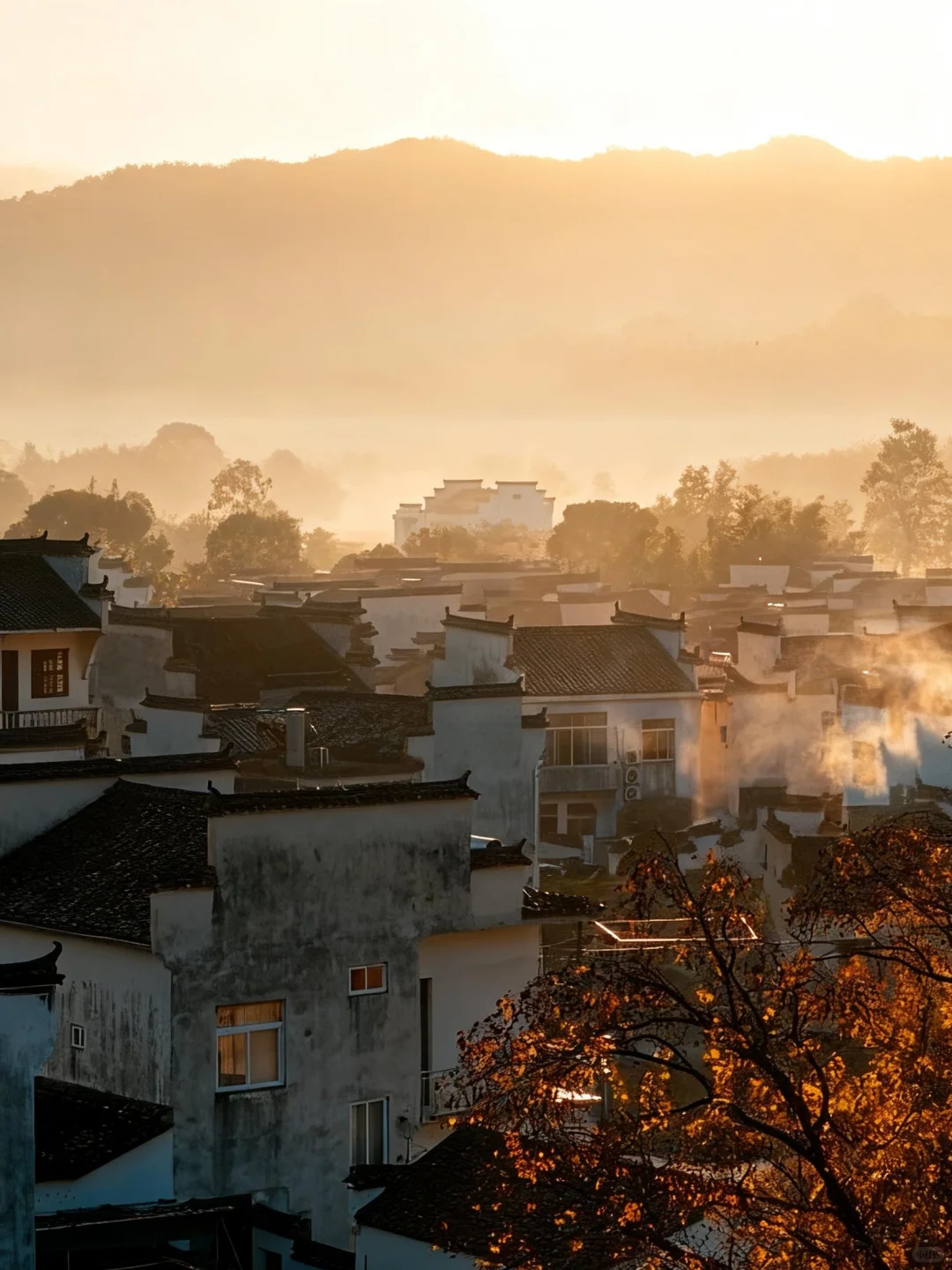 可惜你不来皖南🍂不知道卢村能有多美！！