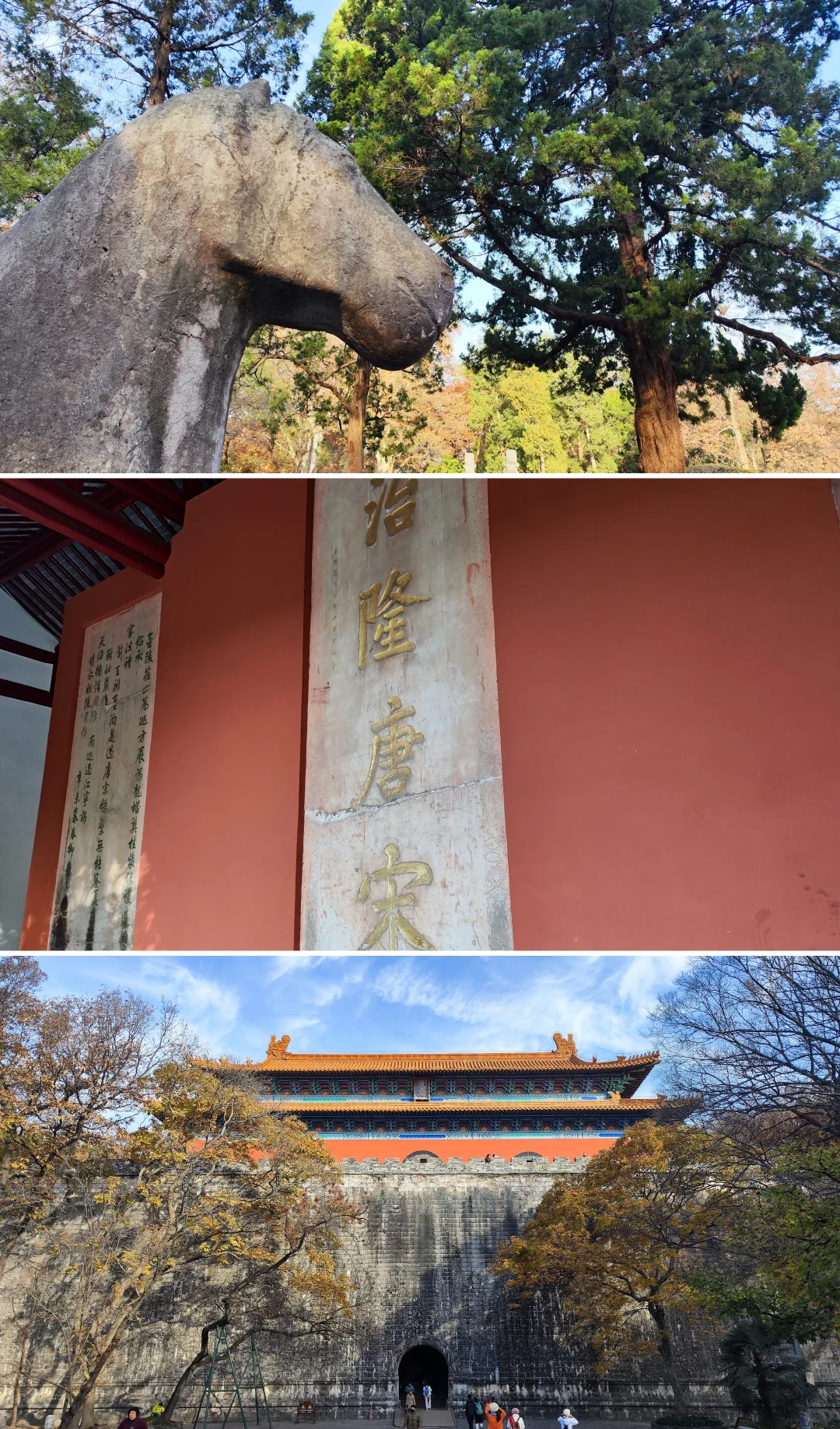 南京｜给广东人一点小小的秋天震撼