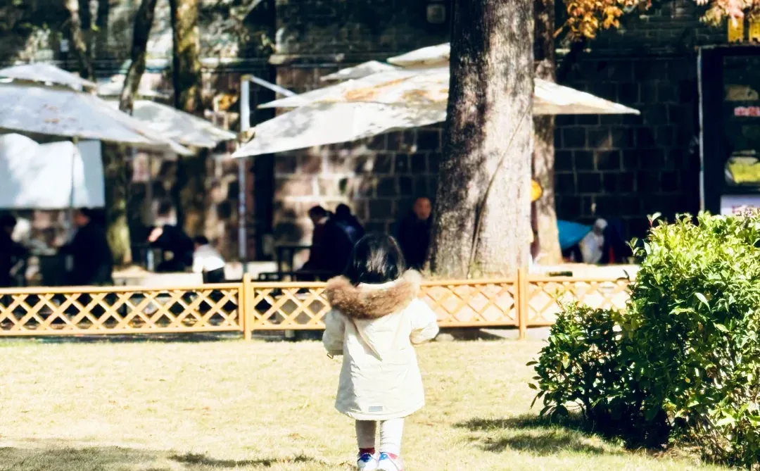 徽州 |人生痴绝，梦回徽州