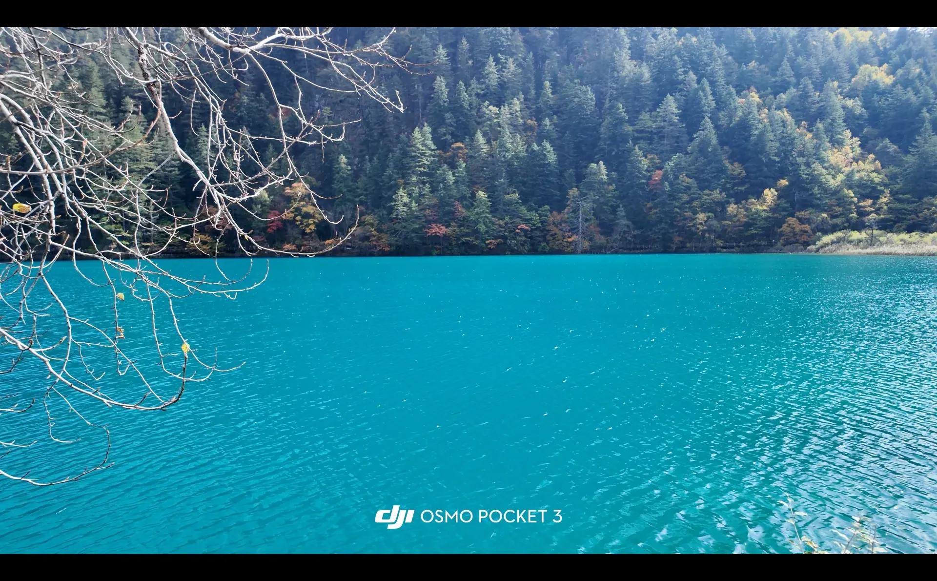 九寨沟景区其实是一个巨大的规则怪谈世界