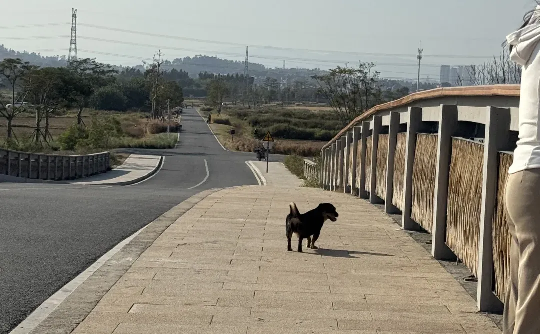 我们都向往没有天花板的地方