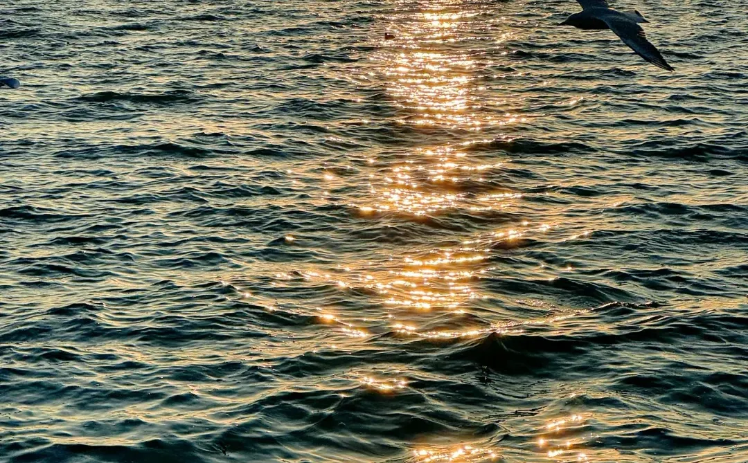 听xhs劝了 和朋友去云南报了个纯玩团后续…