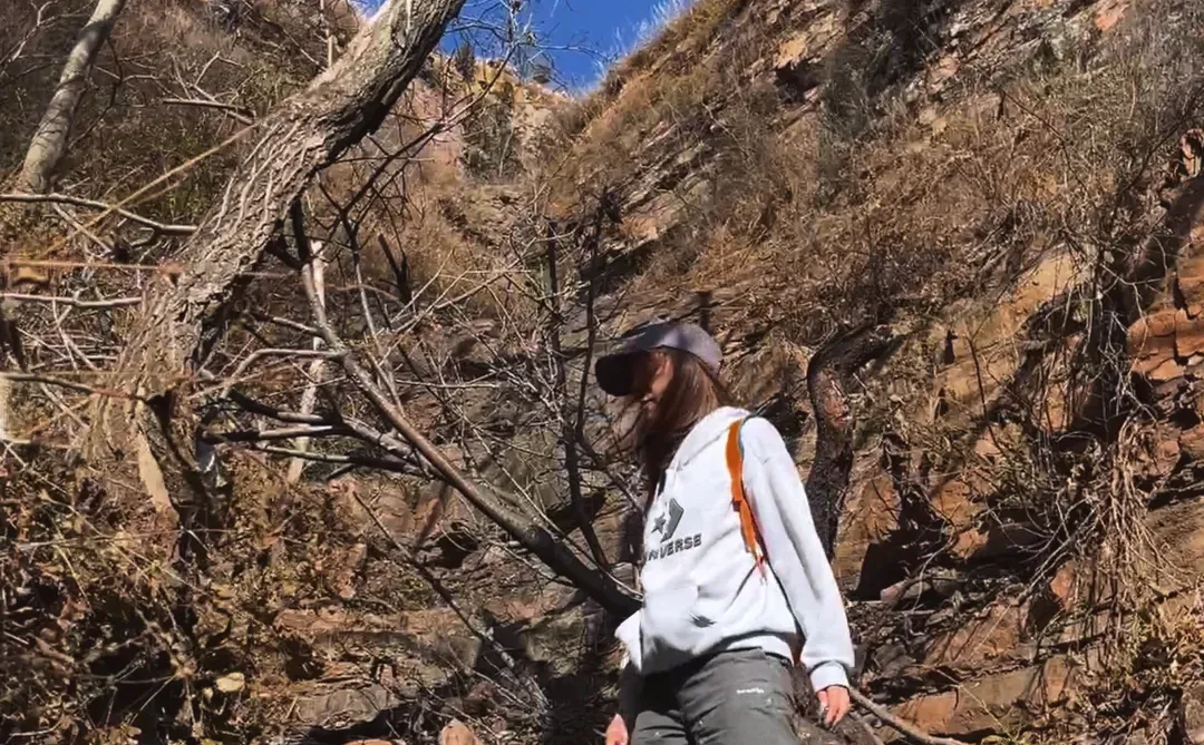 纯野无暇崴脚自负