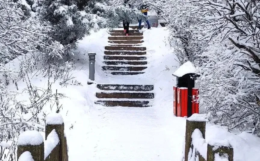 华山一日游-冬季特惠路线闭眼冲❄️