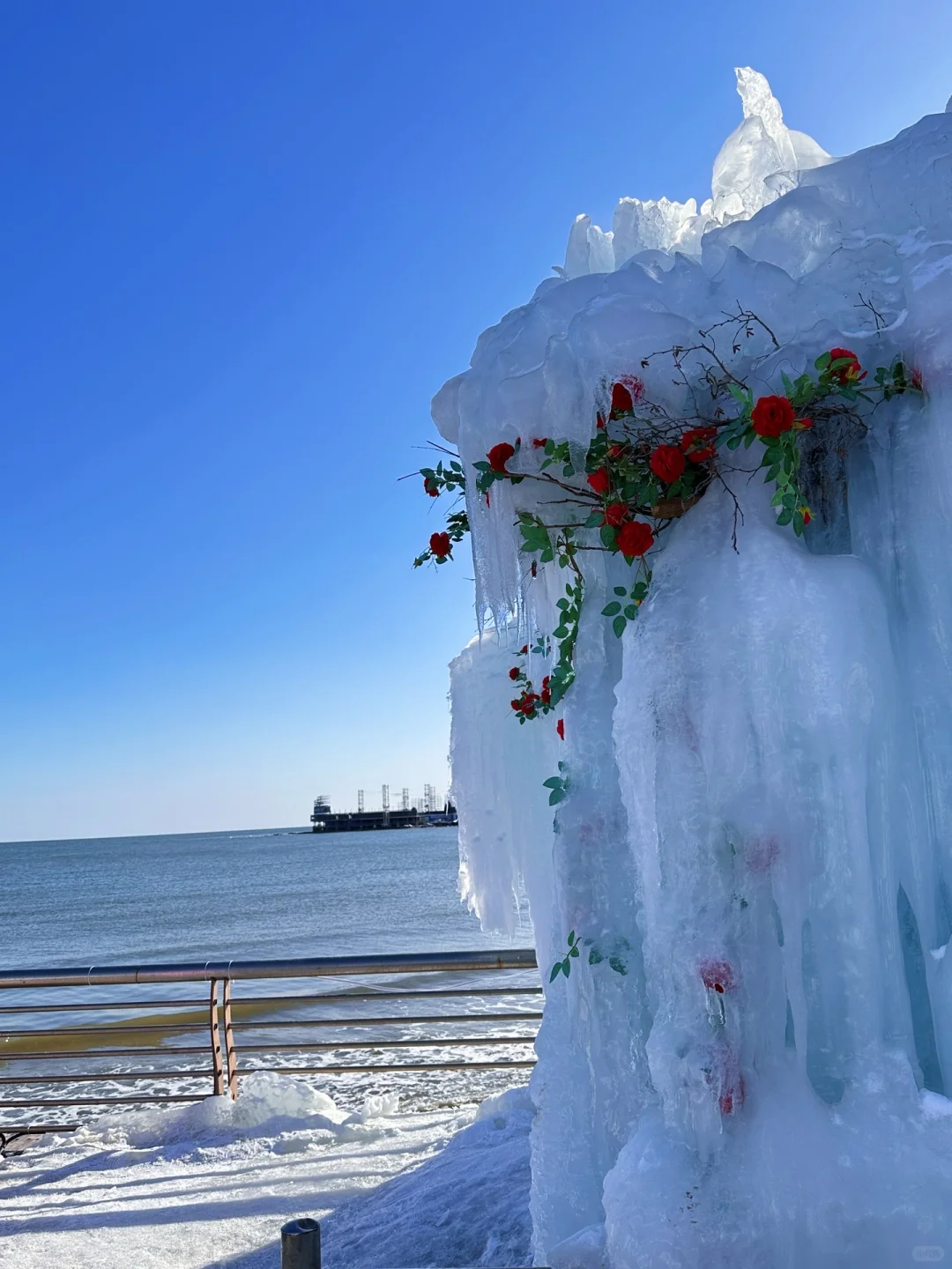 秦皇岛冻海美到失语❄️下月一起看冰河世纪‼️