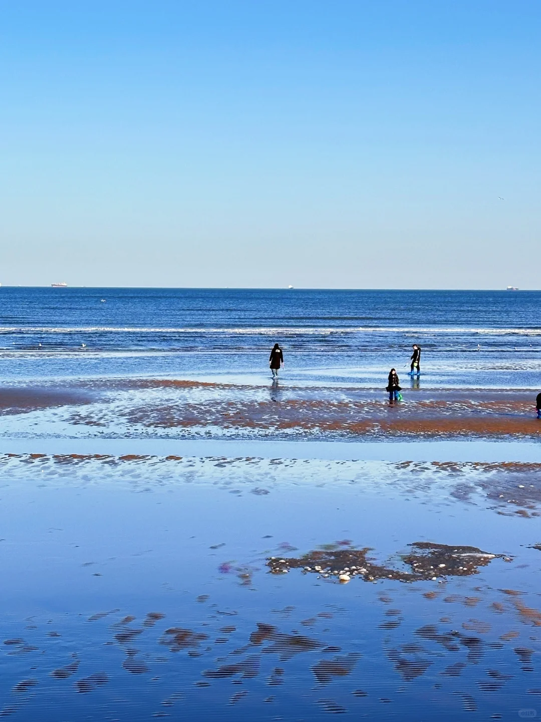 秦皇岛冻海美到失语❄️下月一起看冰河世纪‼️
