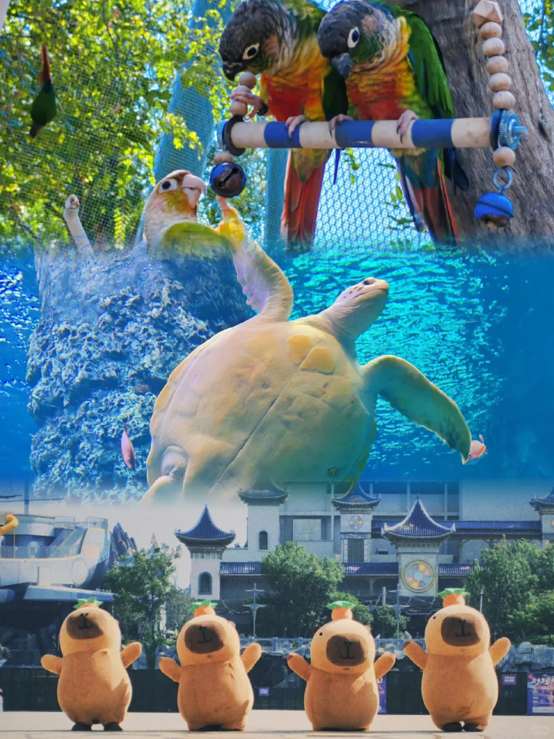 襄阳华侨城 | 性价比爆棚的梦幻之旅💫