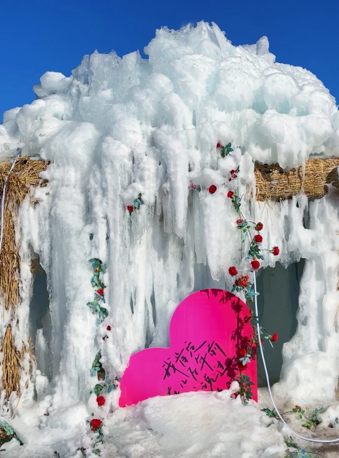 秦皇岛冻海美到失语❄️下月一起看冰河世纪‼️