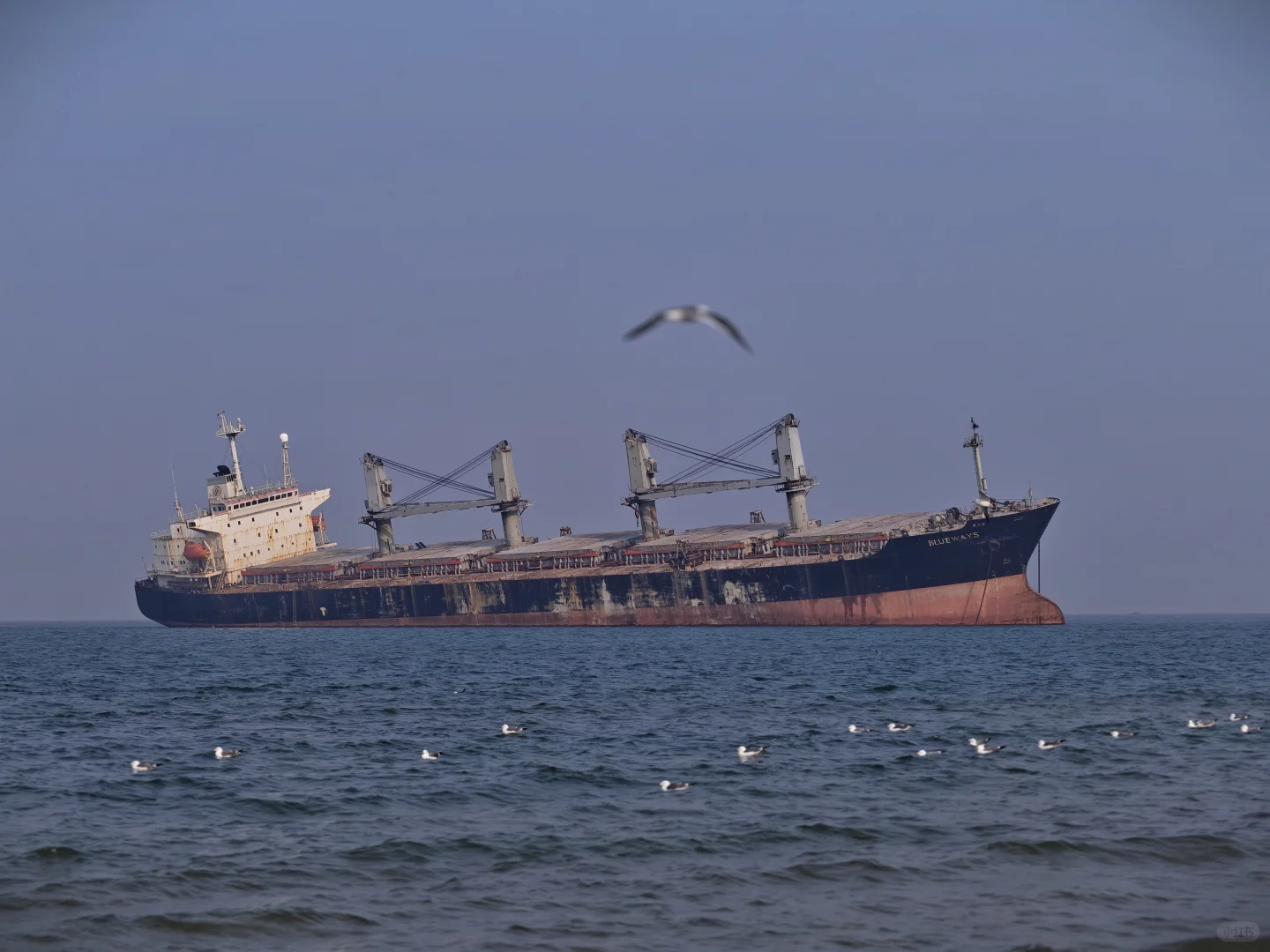 ❄️冬日威海一日游