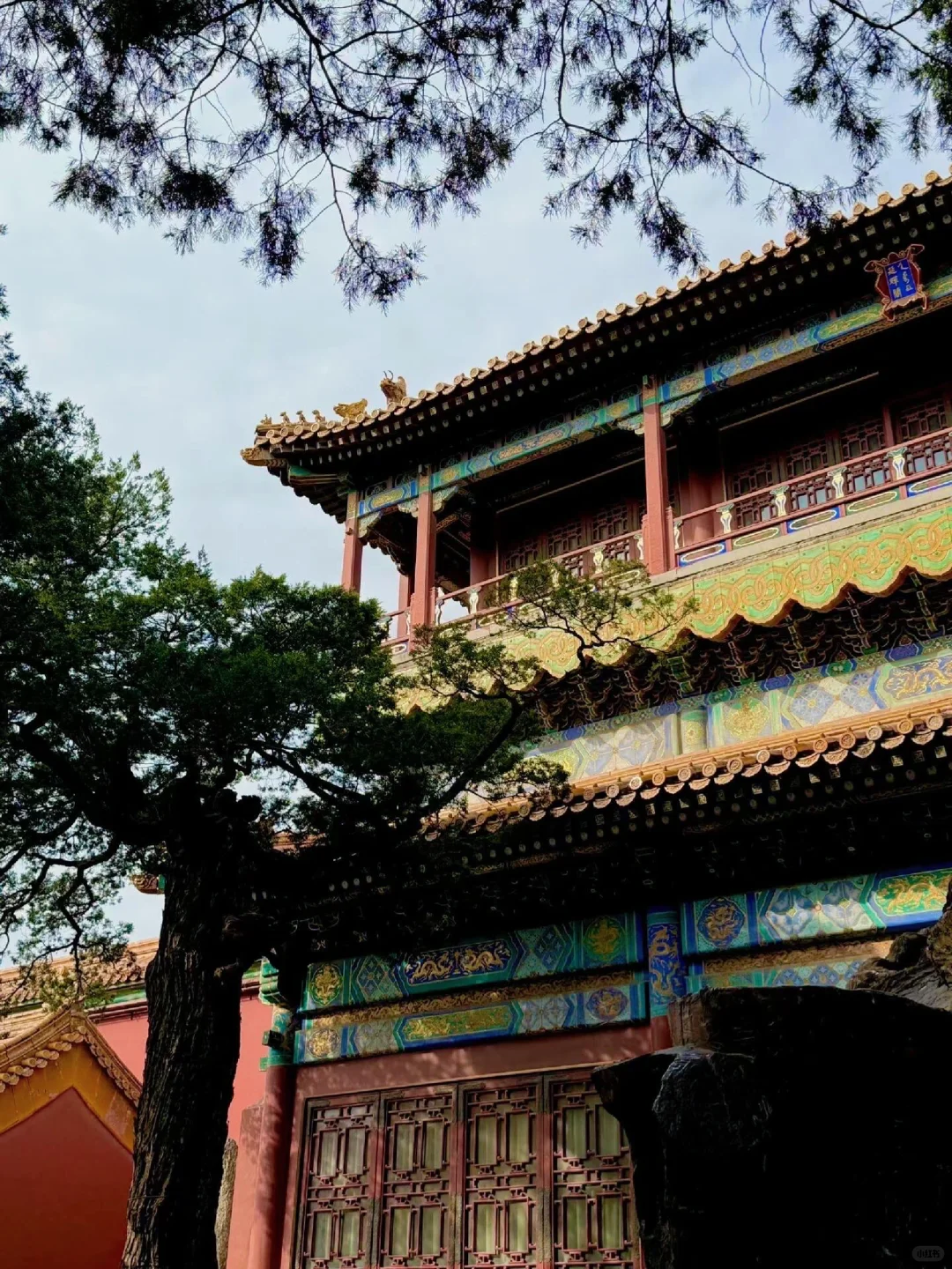 没听xhs劝，带家人报了北京团后续（无广）