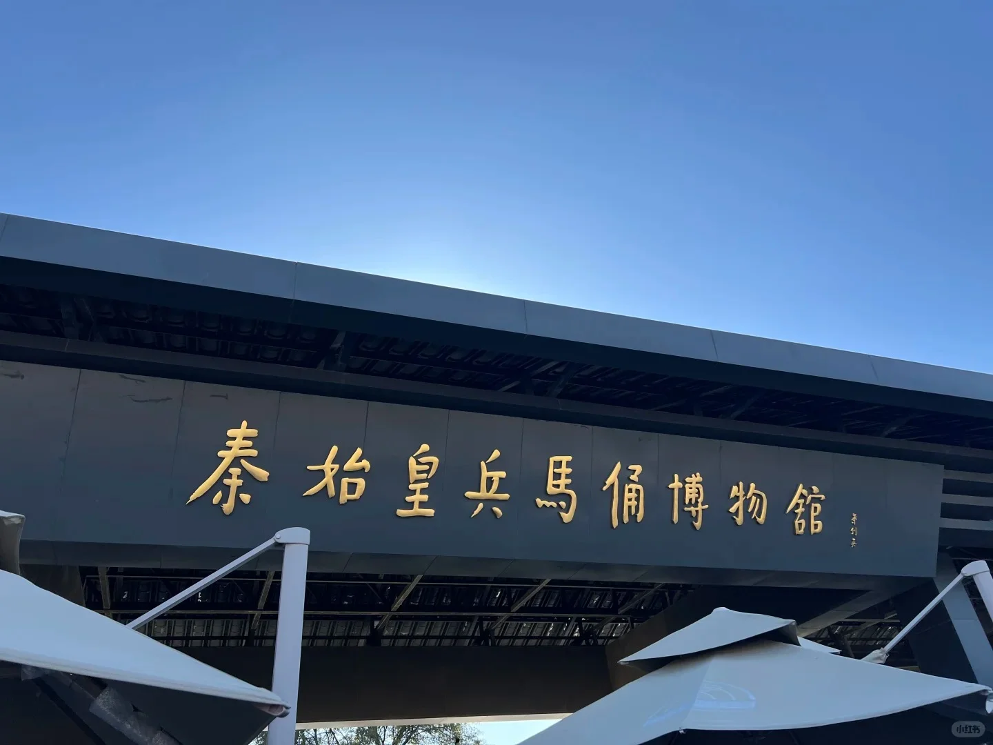 兵马俑淡季出游太香了 ，人少景美仅130元！