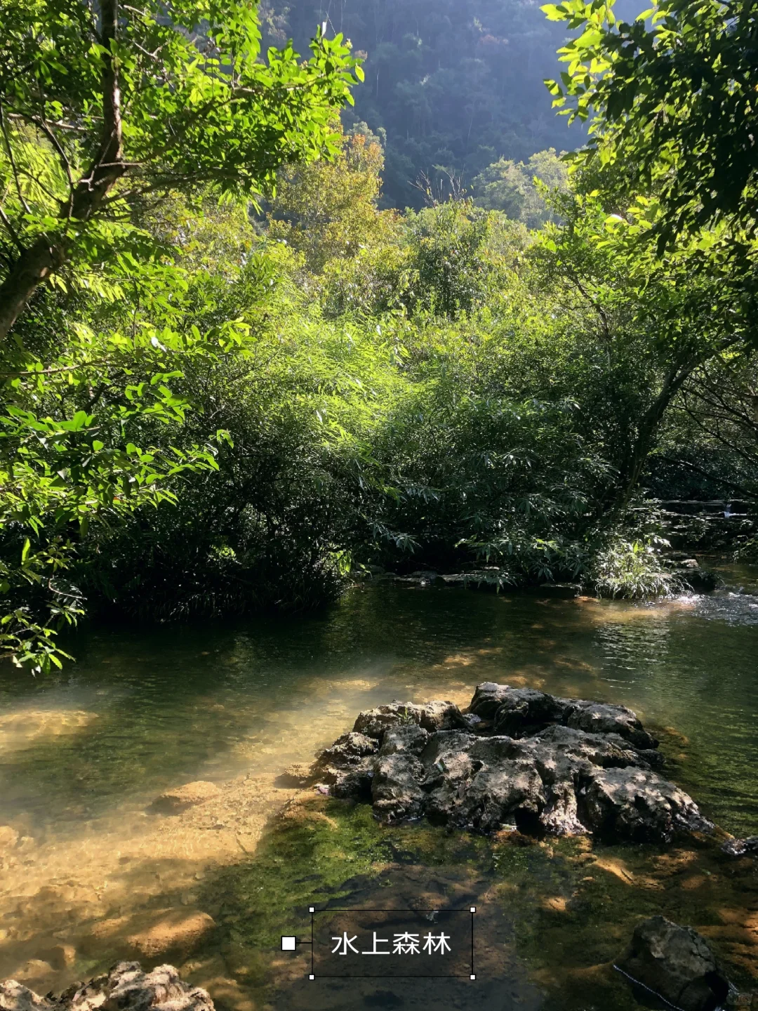 多彩贵州|水墨画般的荔波大小七孔