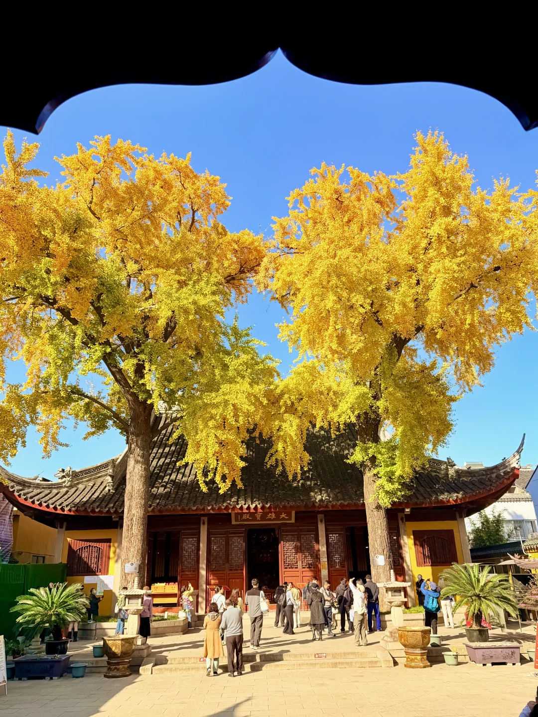 苏州12月赏秋🍂citywalk保姆级攻略（附路线）