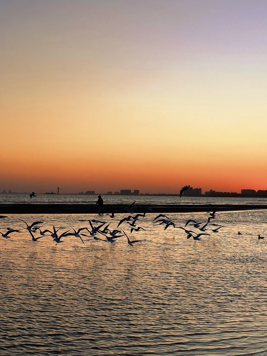 秦皇岛冻海美到失语❄️下月一起看冰河世纪‼️
