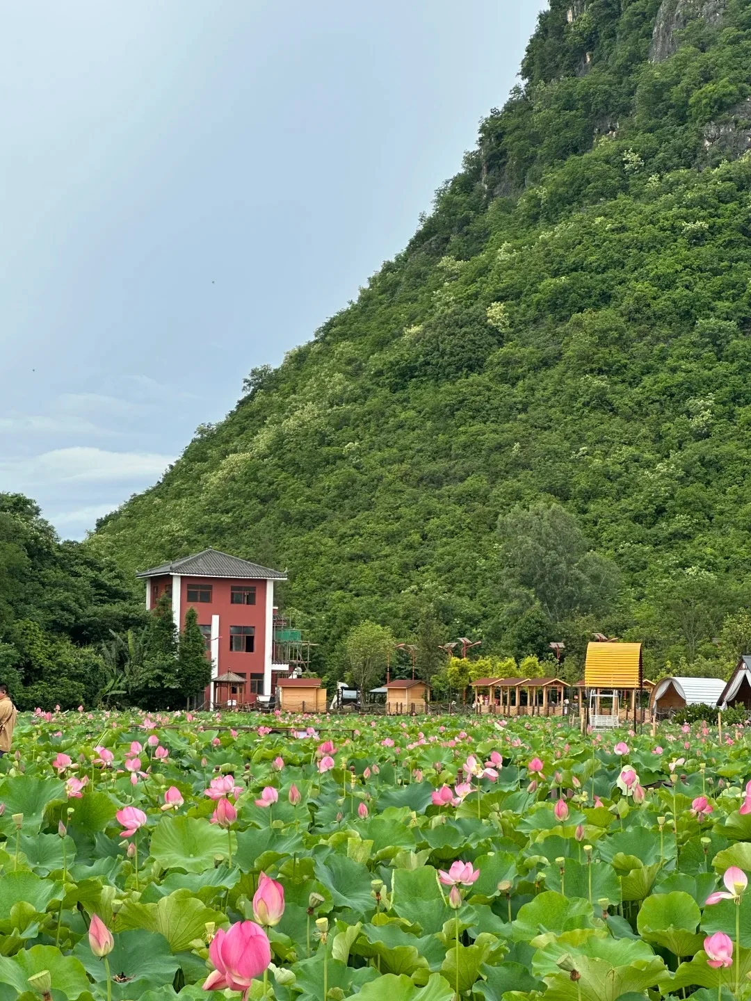 普者黑 | 中国最后的世外桃源🌿