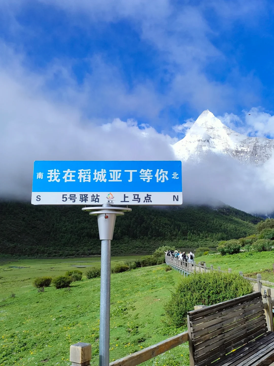 山顶的风景，山下的花海⛰️🌼