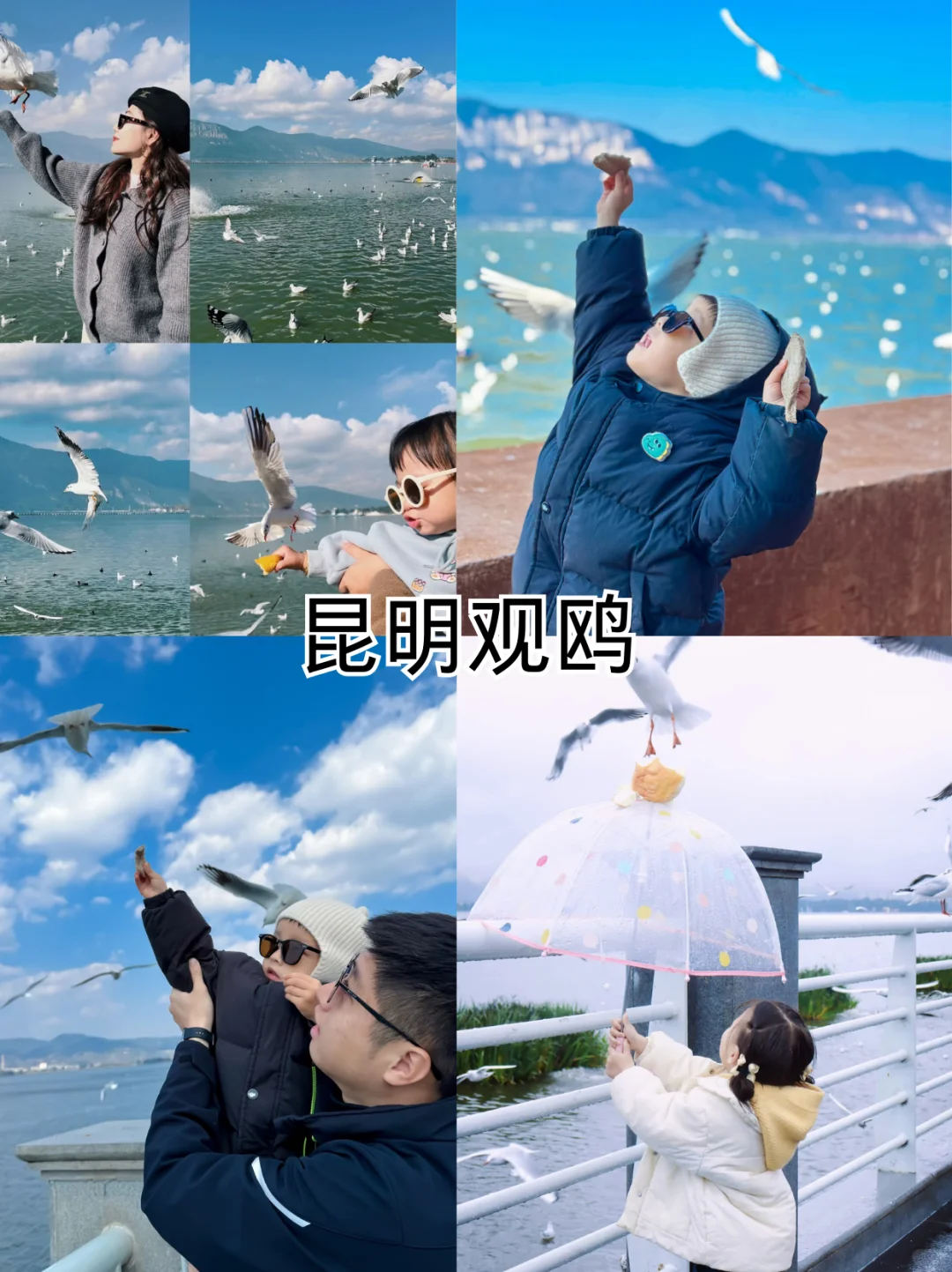 被问爆的昆版亲子游攻略来啦！躺玩不费妈～